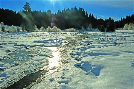 Reschbach_Feb_21.jpg