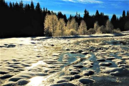 Reschbach_Feb_21_-1.jpg