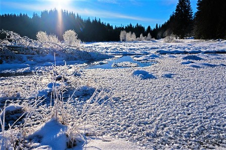 Reschbach_Feb_21_-2.jpg
