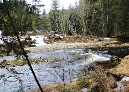 Reschbachtal_27.03.21.JPG