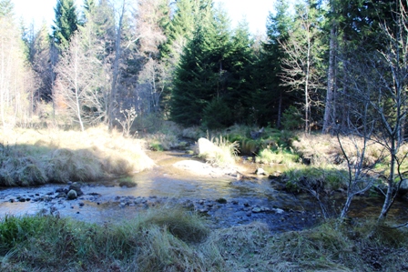 Reschbachtal_Nov_21.JPG