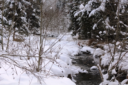 Reschwasser_10.01.21_klein.JPG